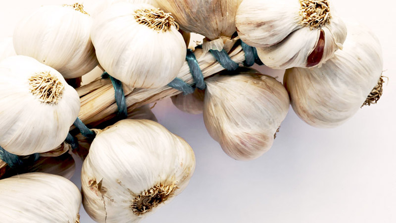 A Look Into Your Yoga Yummies: Part 6: Groovy Garlic